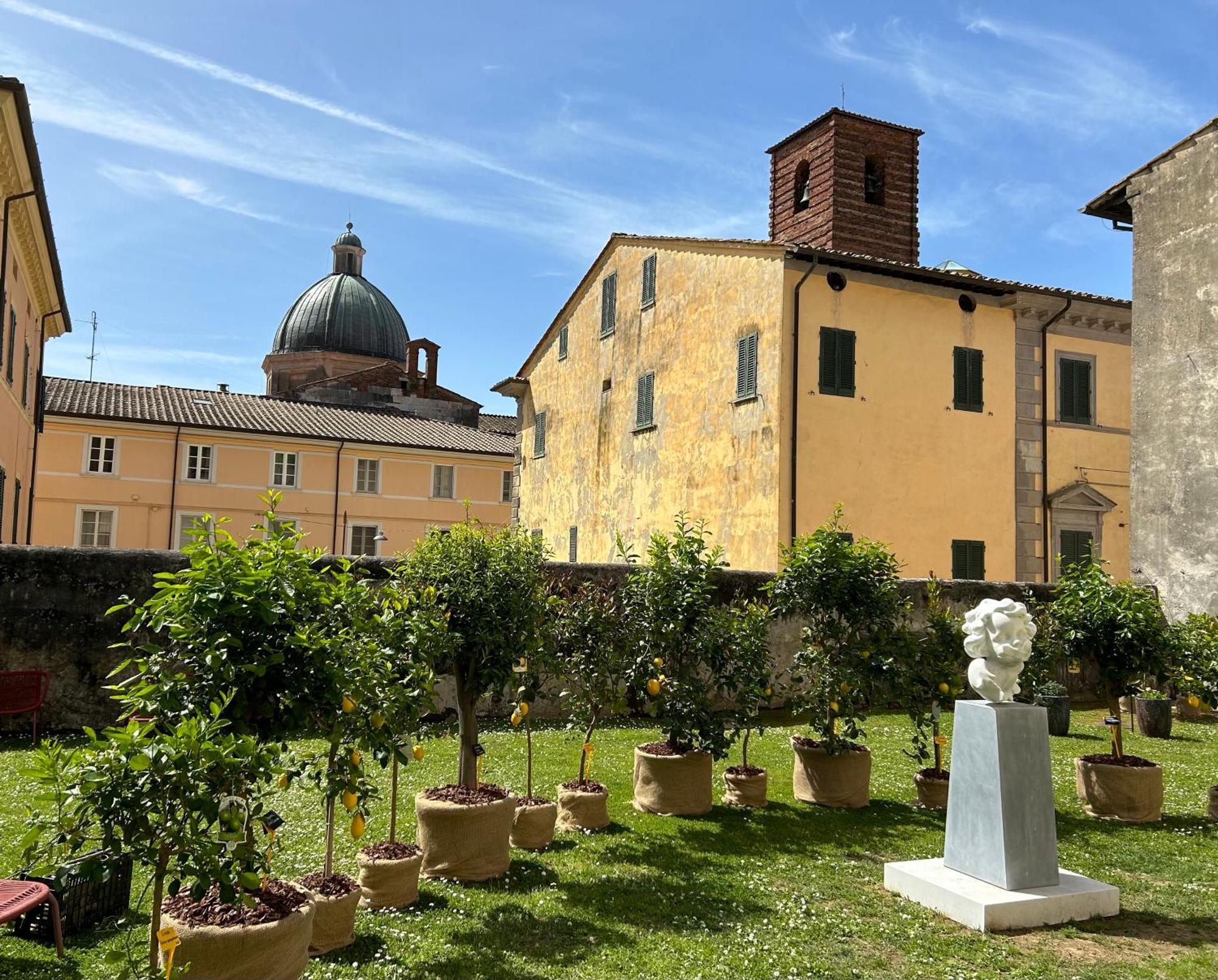 Art Hotel Pietrasanta Buitenkant foto